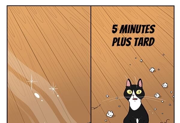 5 min de ménage vs 5 min de #Chat 🐾😼🧹 #Pawtounes #Cats #Ménage #HumourCat
