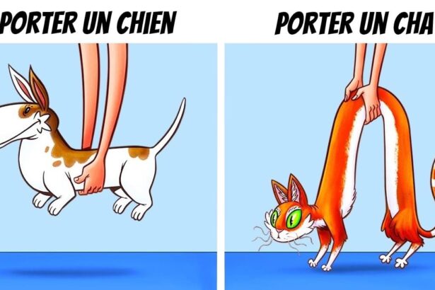 Chiens vs Chats : qui porte le mieux l'affection? 😼🐶 Partagez vos moments félins! #Compagnon #Mignon #AmourDesAnimaux #Pawtounes #Chat #Cats
