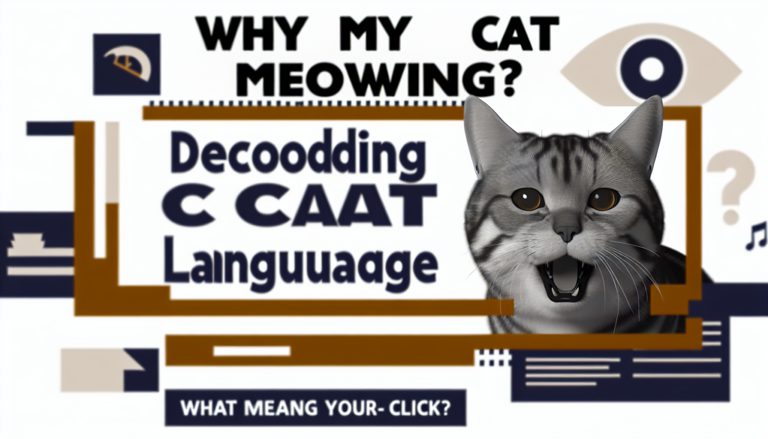 Pawtounes - Chats - Chatons - Animaux - Mignons - Marrants : Why does my cat meow? Deciphering feline language