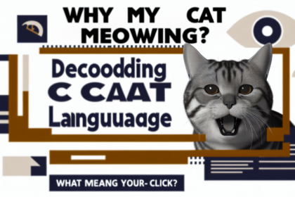 Pawtounes - Chats - Chatons - Animaux - Mignons - Marrants : Why does my cat meow? Deciphering feline language