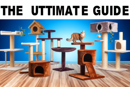 Pawtounes - Chats - Chatons - Animaux - Mignons - Marrants : Discover the best cat tree: Complete Guide 2024