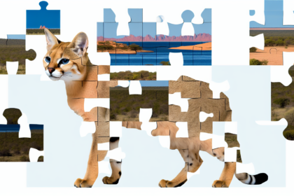 Pawtounes - Chats - Chatons - Animaux - Mignons - Marrants : Complete Guide: All about the Savannah Cat in 2024