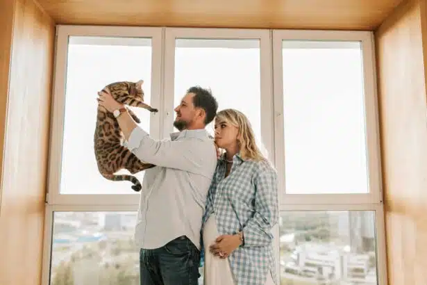 Pawtounes - Chats - Chatons - Animaux - Mignons - Marrants : Bengal cat: character, care and prices to know