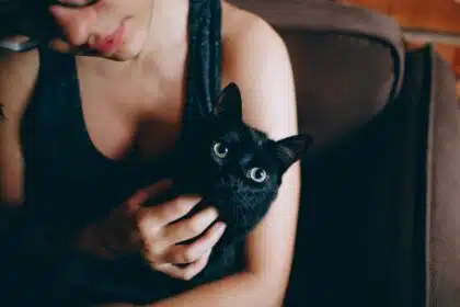 Pawtounes - Chats - Chatons - Animaux - Mignons - Marrants : Comment Adopter et Prendre Soin d'un Chat Noir : Guide Complet