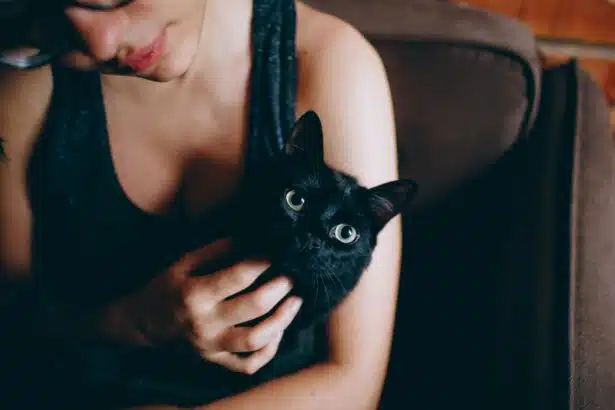 Pawtounes - Chats - Chatons - Animaux - Mignons - Marrants : Comment Adopter et Prendre Soin d'un Chat Noir : Guide Complet