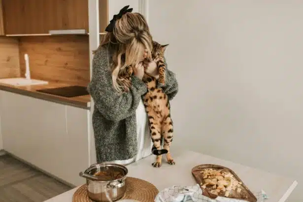 Pawtounes - Chats - Chatons - Animaux - Mignons - Marrants : Le Chat Bengal : Guide Complet Pour les Passionnés Félins