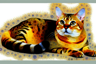 Pawtounes - Chats - Chatons - Animaux - Mignons - Marrants : Discover the best cat breeds: complete guide 2024
