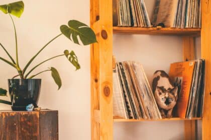 Pawtounes - Chats - Chatons - Animaux - Mignons - Marrants : Complete Guide 2024: All about the Sphinx Cat for Homeowners