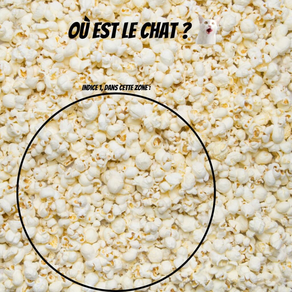 Pawtounes - Chats - Chatons - Animaux - Mignons - Marrants : Où est le chat ? Un chat mystère parmi les popcorns ! 🍿🐱