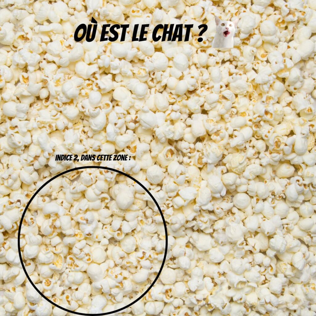 Pawtounes - Chats - Chatons - Animaux - Mignons - Marrants : Où est le chat ? Un chat mystère parmi les popcorns ! 🍿🐱