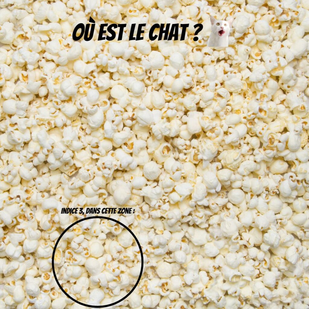 Pawtounes - Chats - Chatons - Animaux - Mignons - Marrants : Où est le chat ? Un chat mystère parmi les popcorns ! 🍿🐱