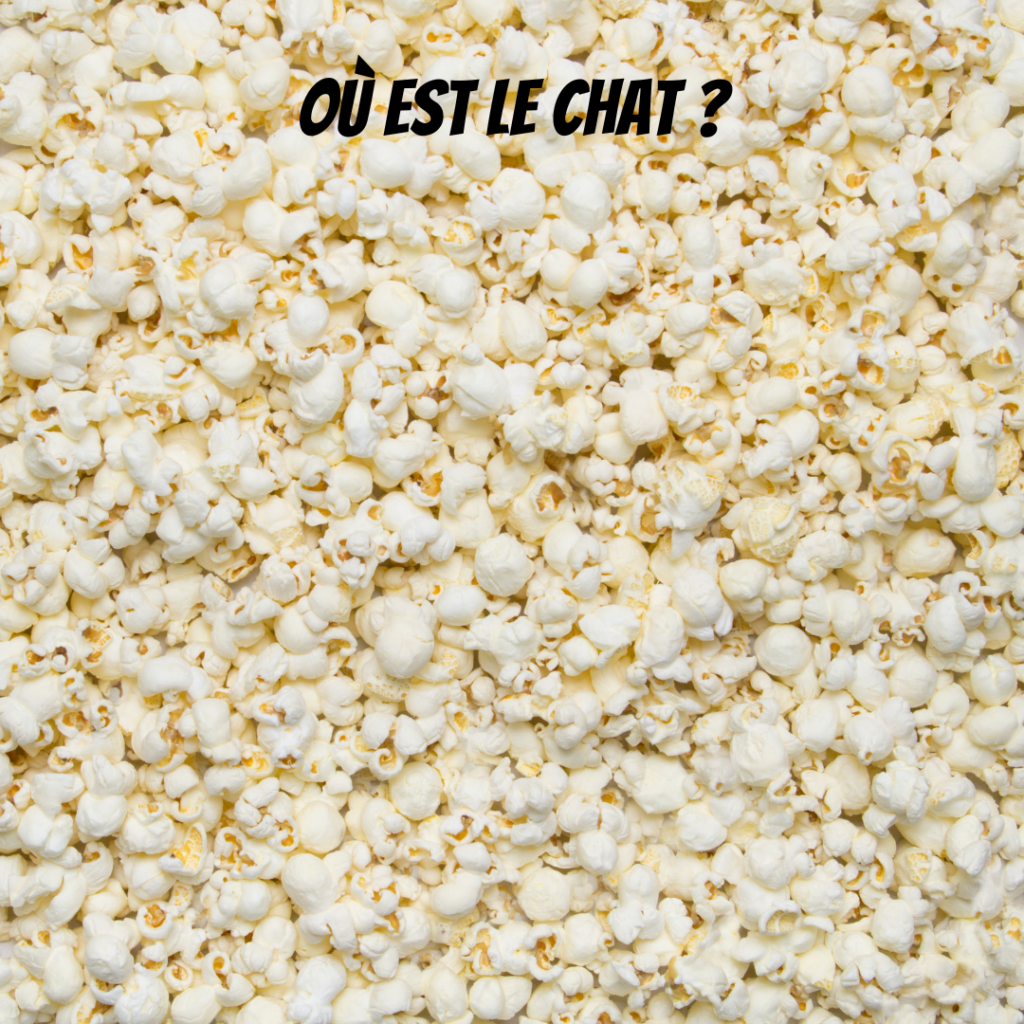 Pawtounes - Chats - Chatons - Animaux - Mignons - Marrants : Où est le chat ? Un chat mystère parmi les popcorns ! 🍿🐱