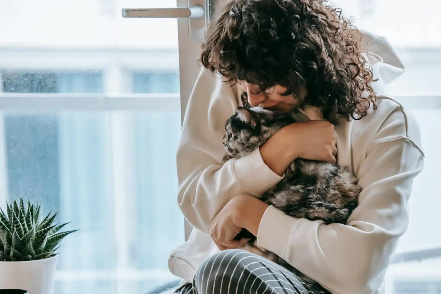 Pawtounes - Chats - Chatons - Animaux - Mignons - Marrants : Comment attirer les chats facilement : 7 astuces imparables