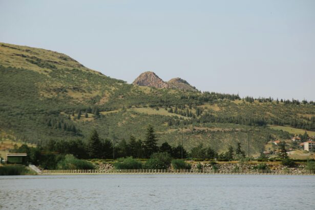 Paysage de montagnes verdoyantes et lac paisible, illustrant la tranquillité. Pourquoi les chats se roulent par terre reste un mystère.