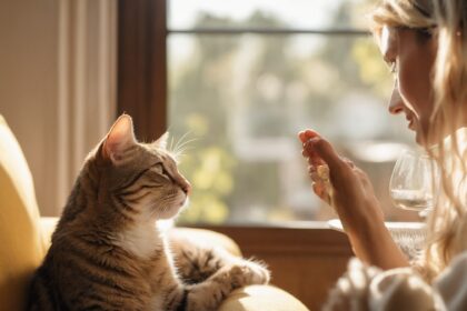 Femme blonde caressant un chat tigré sur un canapé jaune, lumière douce à travers la fenêtre.